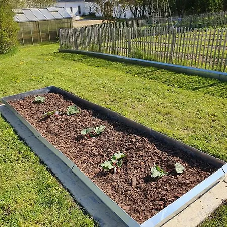 Molshojgard * Knebel