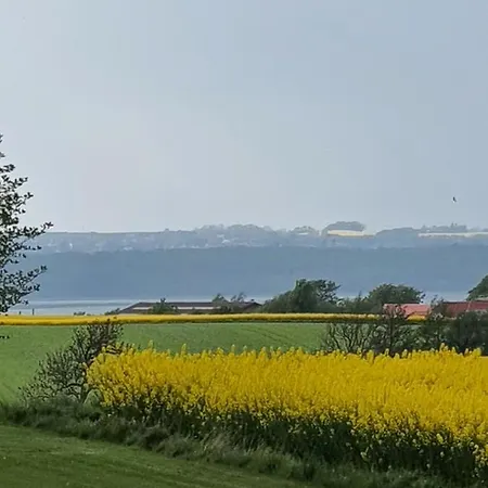 Apartman Molshojgard