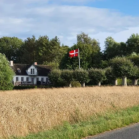 Molshojgard *