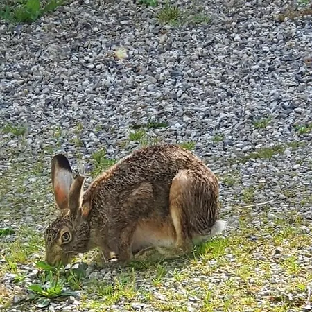 Apartment Molshojgard