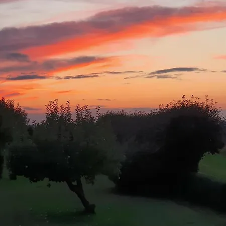 Molshojgard * Knebel