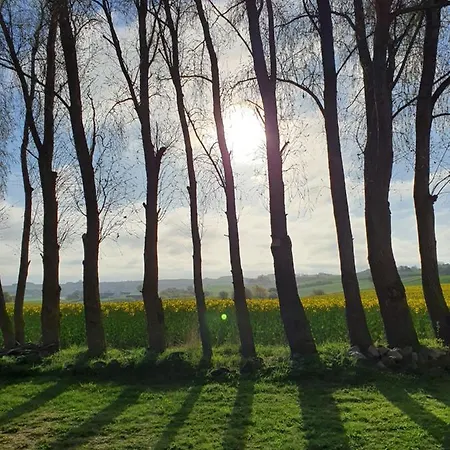 Molshojgard
