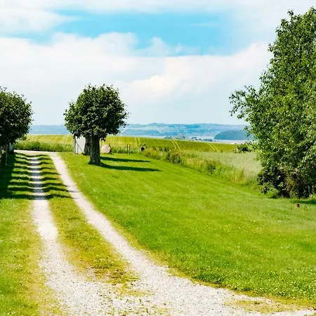 Molshojgard Apartman