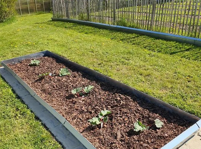 Molshojgard * Knebel