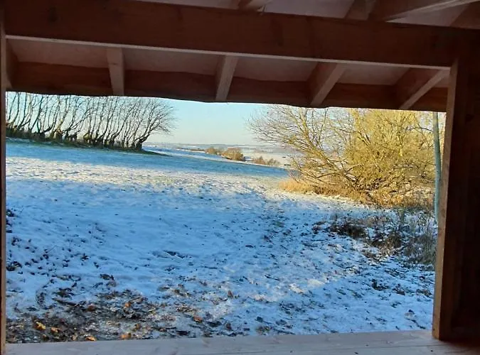 Molshojgard Апартаменты *