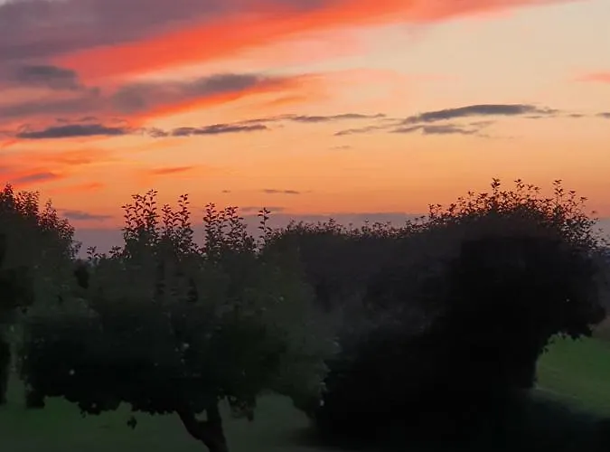 Molshojgard * Knebel