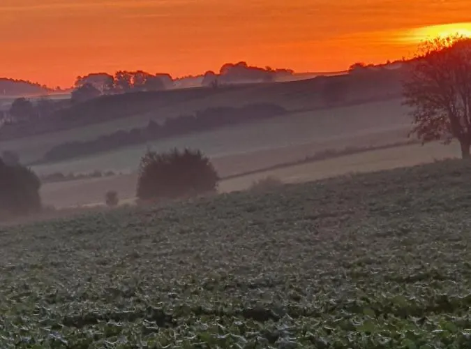 Апартаменты Molshojgard *